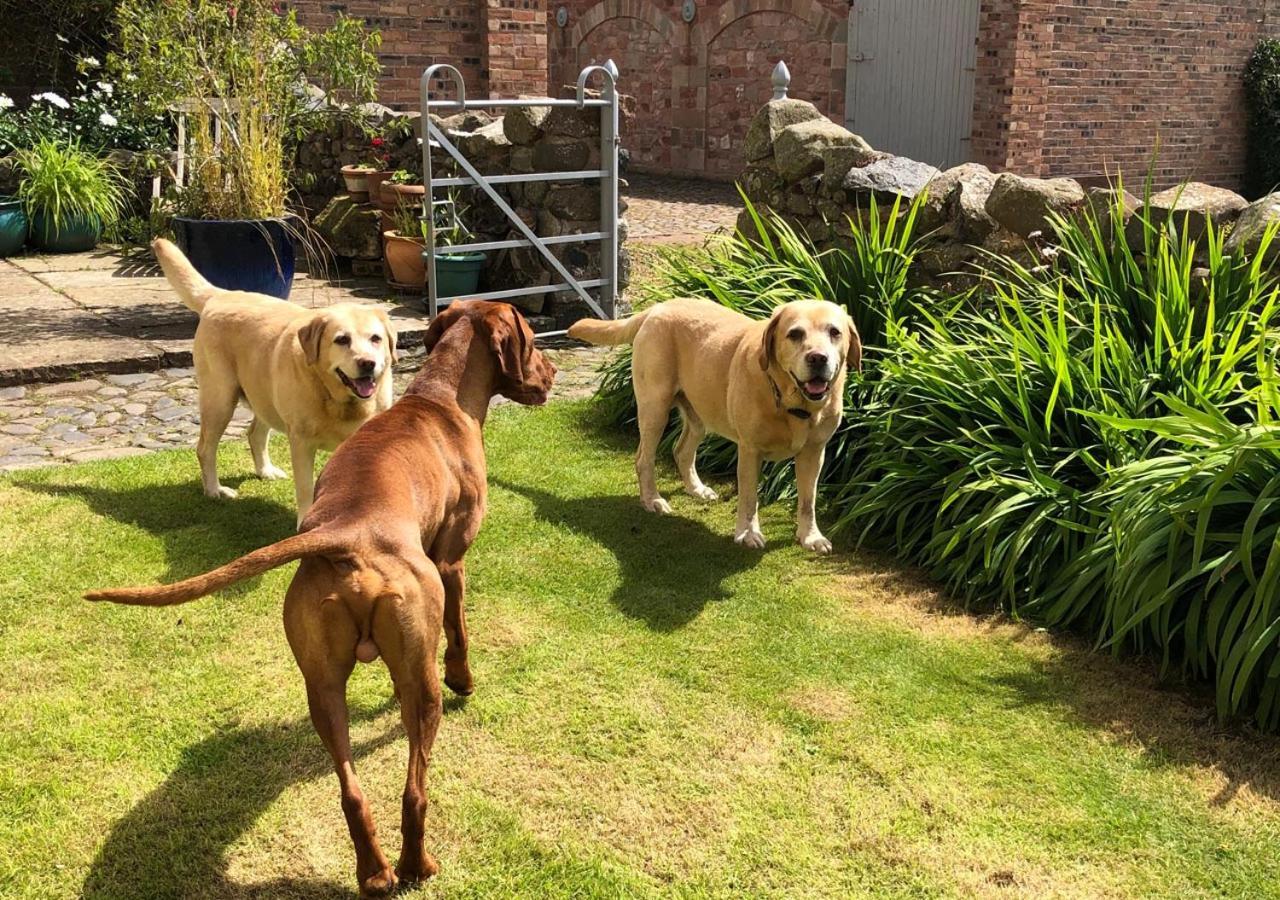 Stable Yard Cottage Greenlaw 외부 사진
